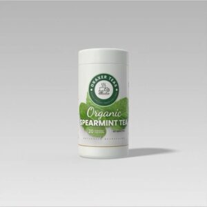 Draxter organic spearmint- 20 bags