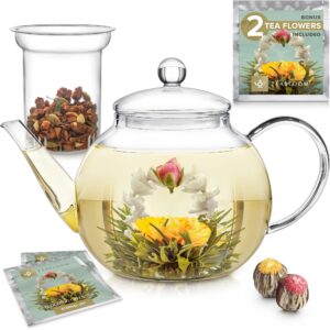 Tea Bloom Tea Pot with Glass Strainer - 900ml